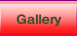Gallery.